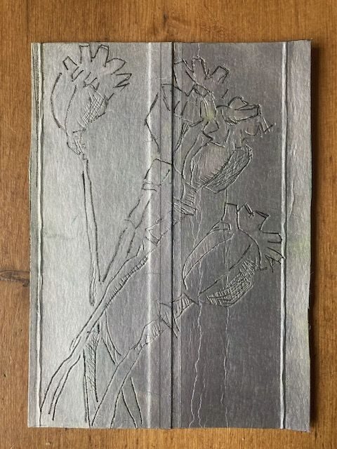 Poppy pods scored into tetrapac