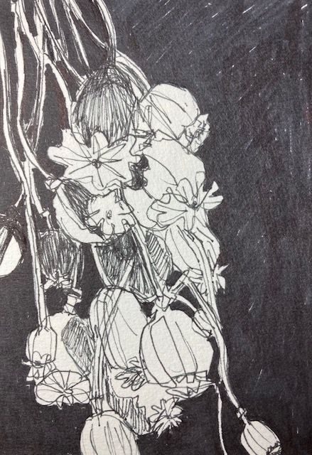 Very fast scribbled drawing in black marker pen of poppy heads