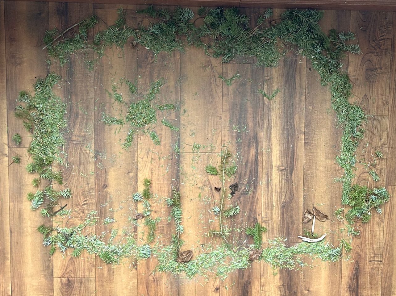 using the fallen pieces of our Christmas tree, I created an outdoor scene.