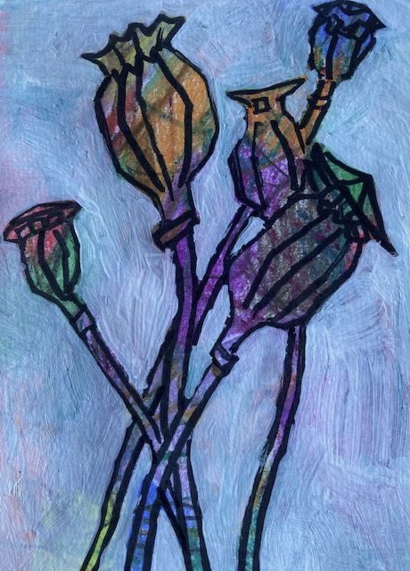 Five poppy pods in black ink on random coloured base, with gesso covering the background