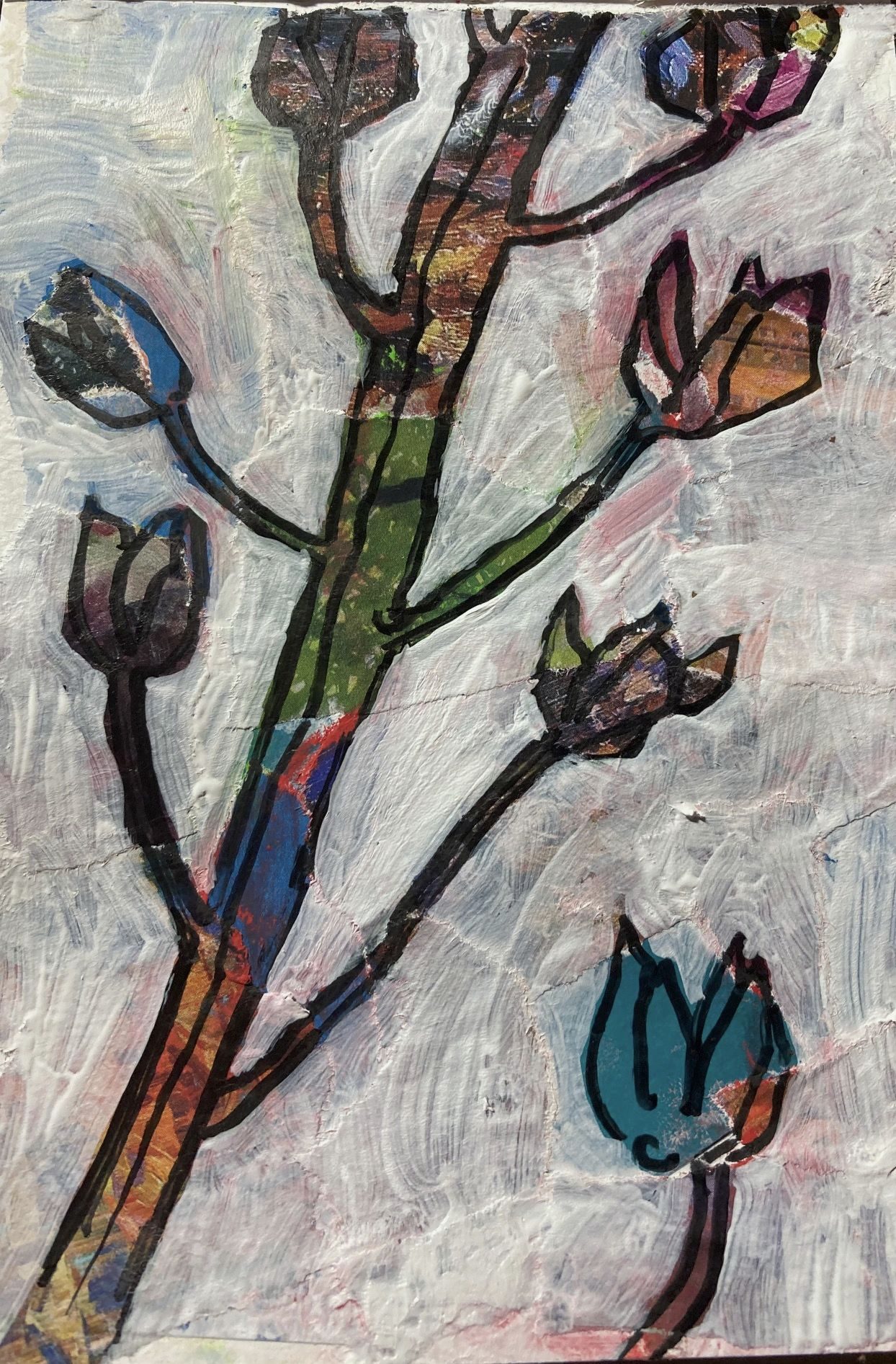 Dried flower pods drawn in black onto random coloured collage papers with background blocked out with white gesson