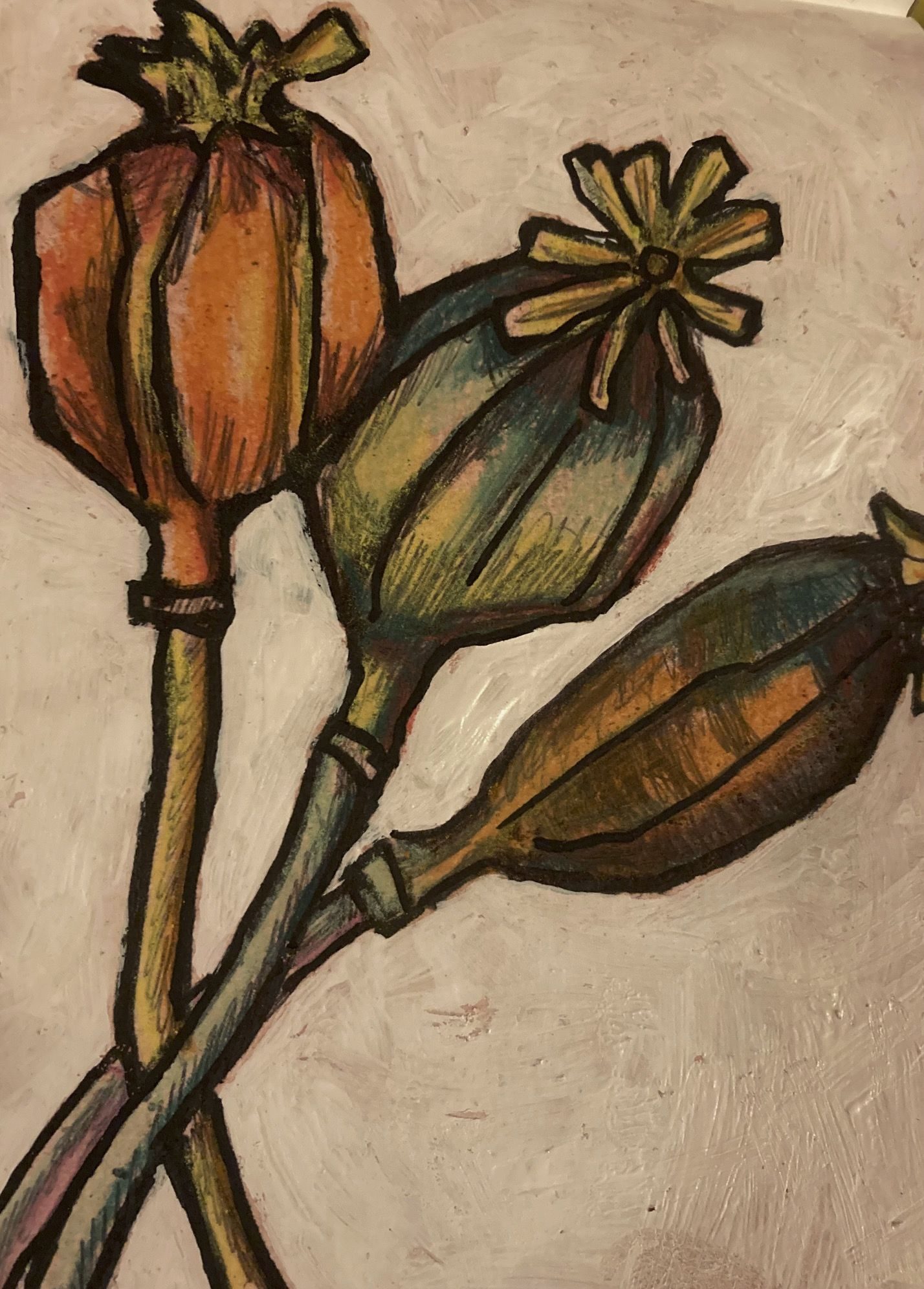 On a paper ground coloured with beetroot juice, three poppy pods drawn in black then coloured with pastel pencils