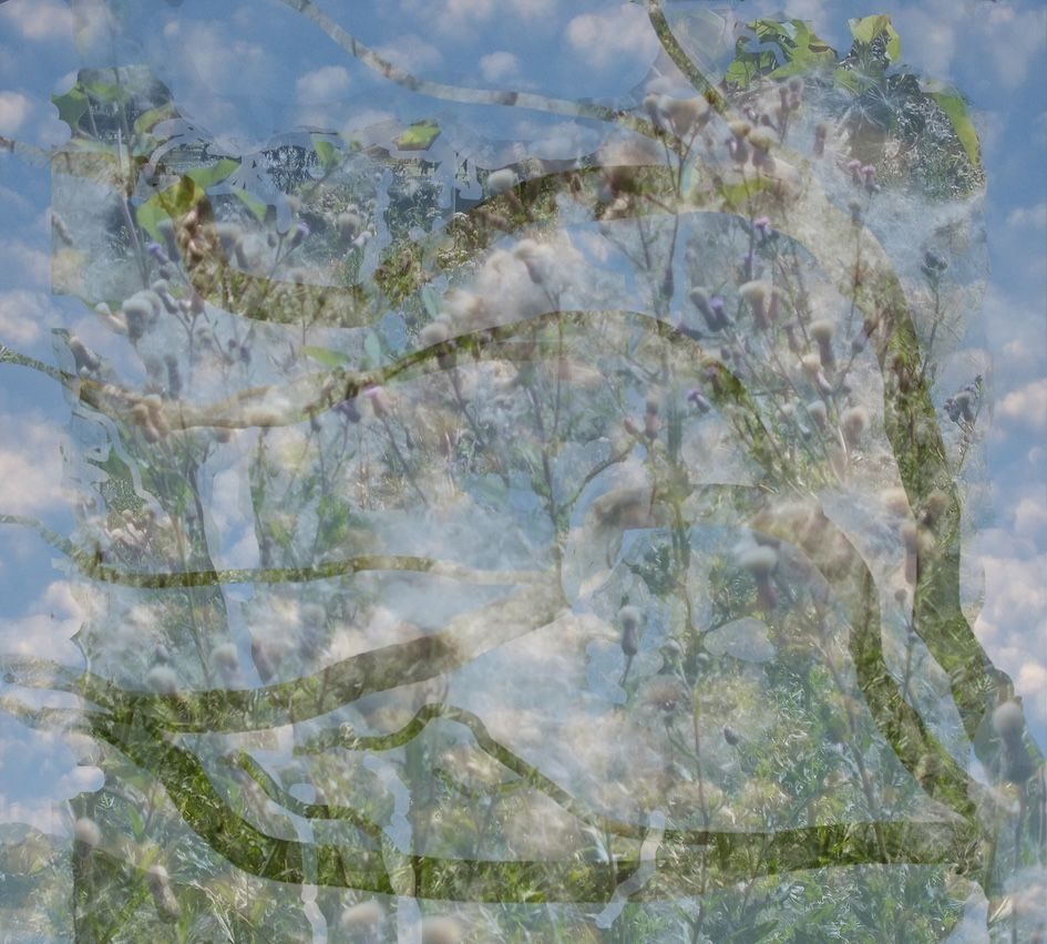 digital creation from two photos by myself, done on photoshop