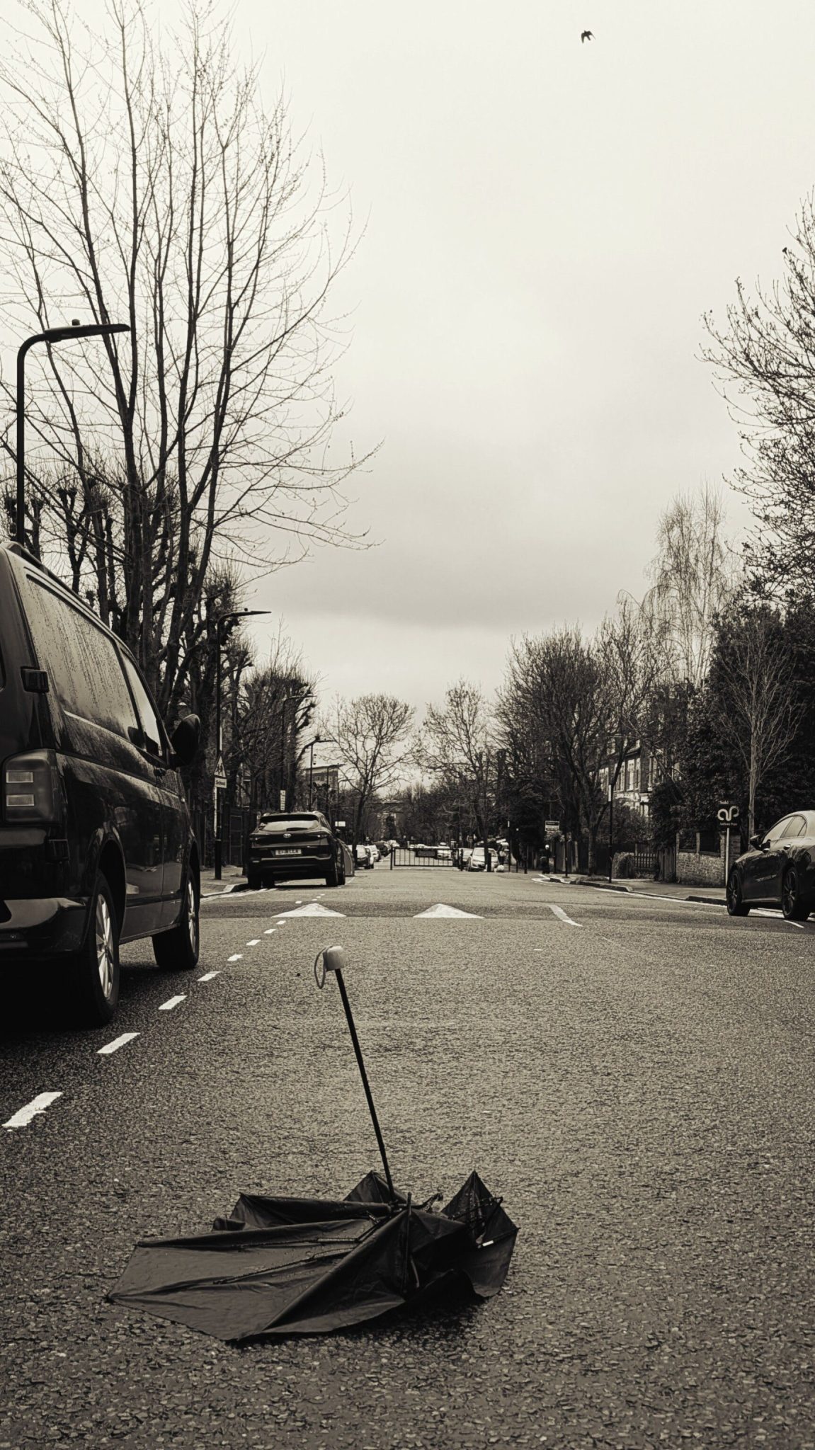 a broken umbrella upside down resting on a street, with some cars around it. picture in brown and black tones