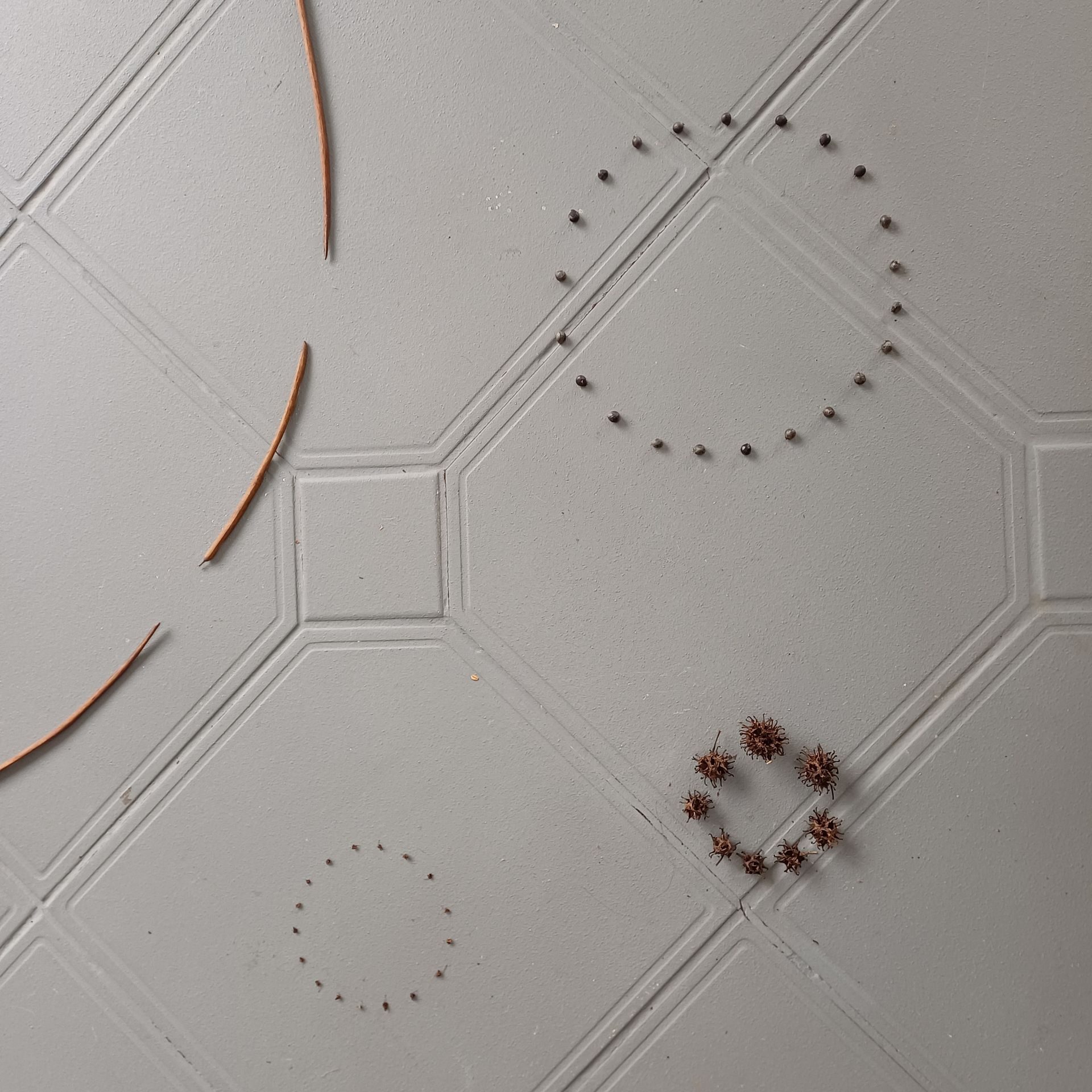 4 different sized black looking seeds are each arranged in a circle looking like bracelets, necklaces or planets, a constellation, sparkling.