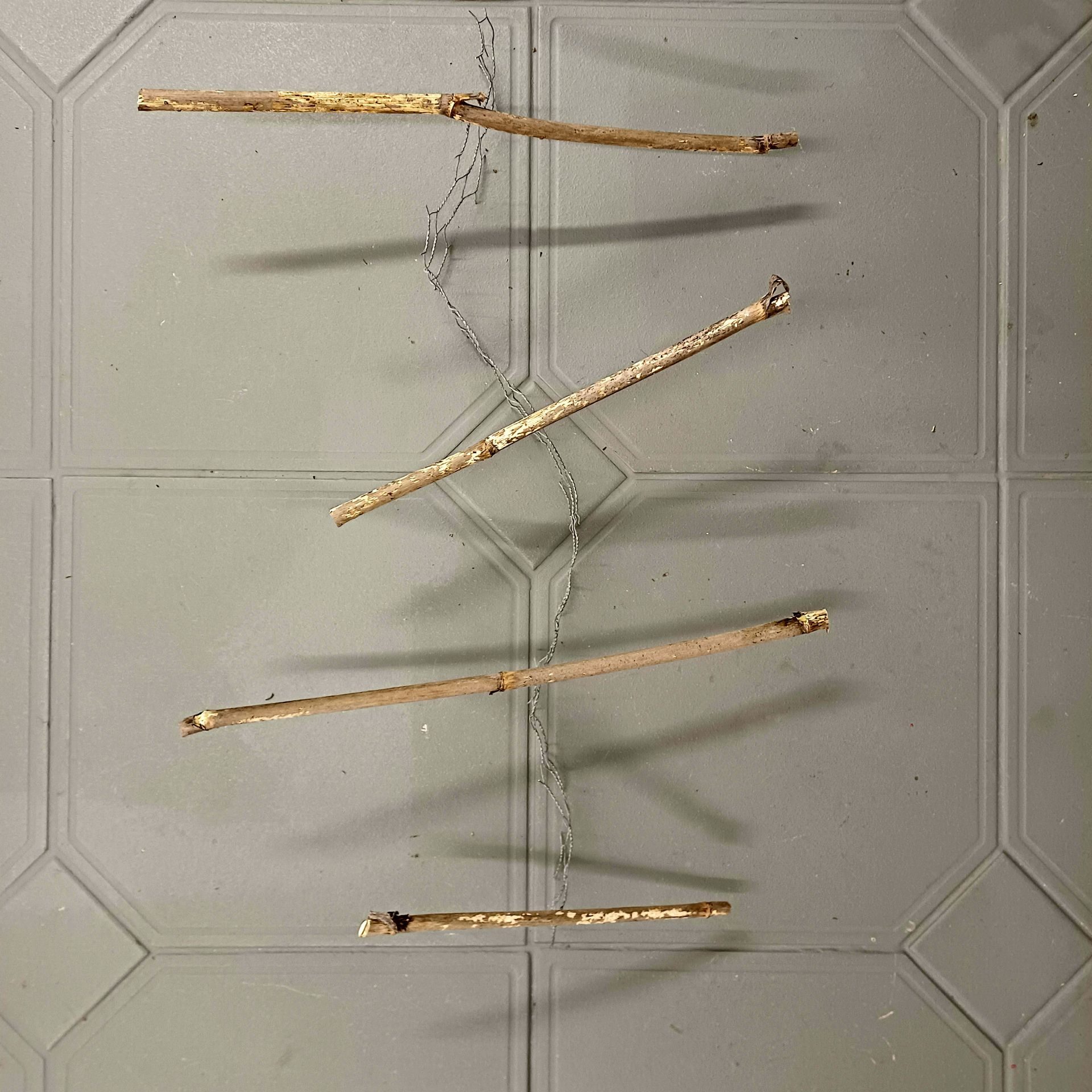 Sticks are balanced on top of a thin stip of curvy chicken wire so they rest aloft casting spooky shadows beneath them.  The wire becomes almost invisible on the grey floor adding mystery to the work/image.