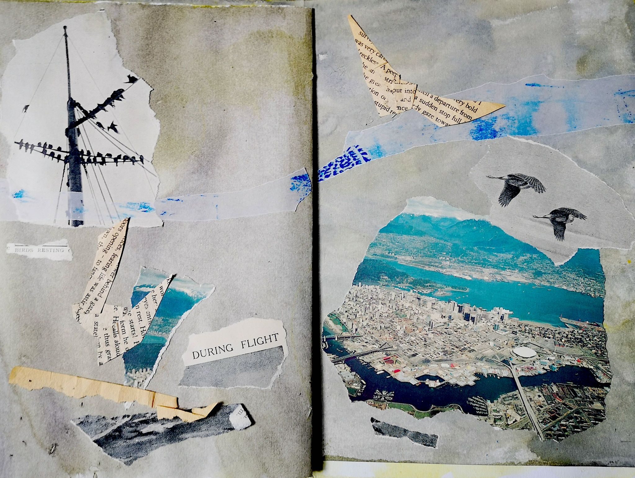 double spread of a zine with collage images of birds, flight paths