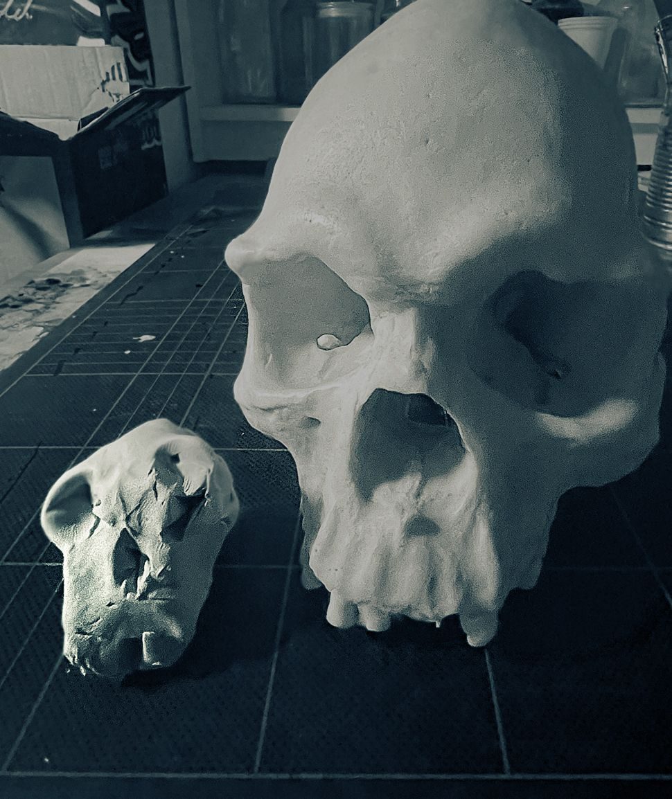 a replica skull with a small plasticine approximation