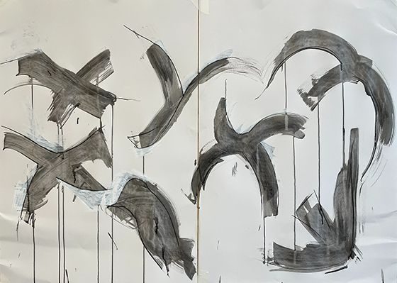 A drawing of shapes made in the air by imaginary birds