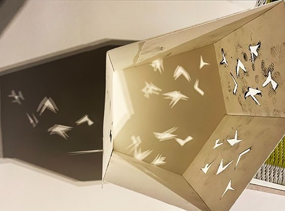 shadows of birds on various surfaces