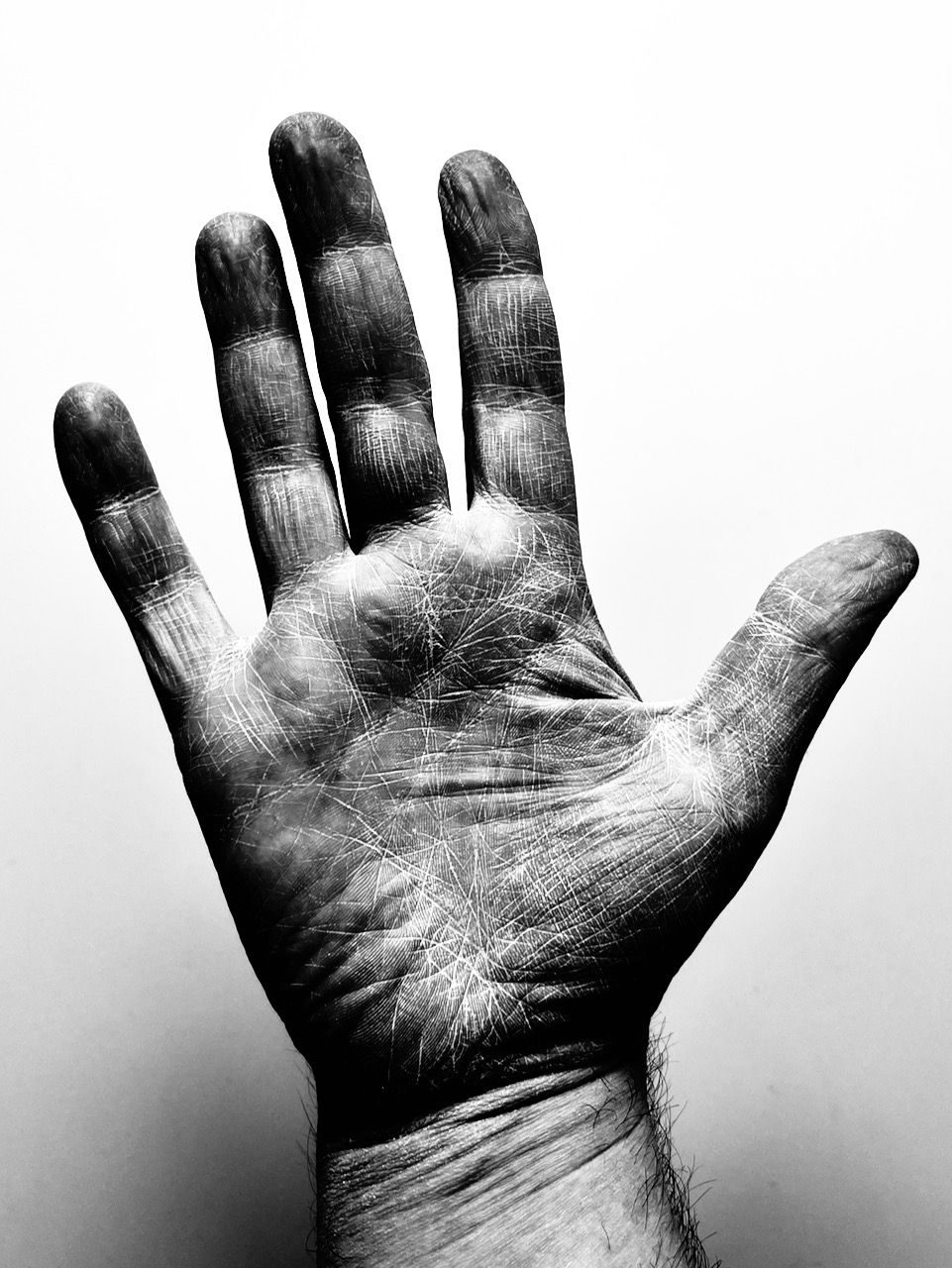 High contrast black and white photo of a hand. There is the white dust of bone ashe in the creases of the hand.
