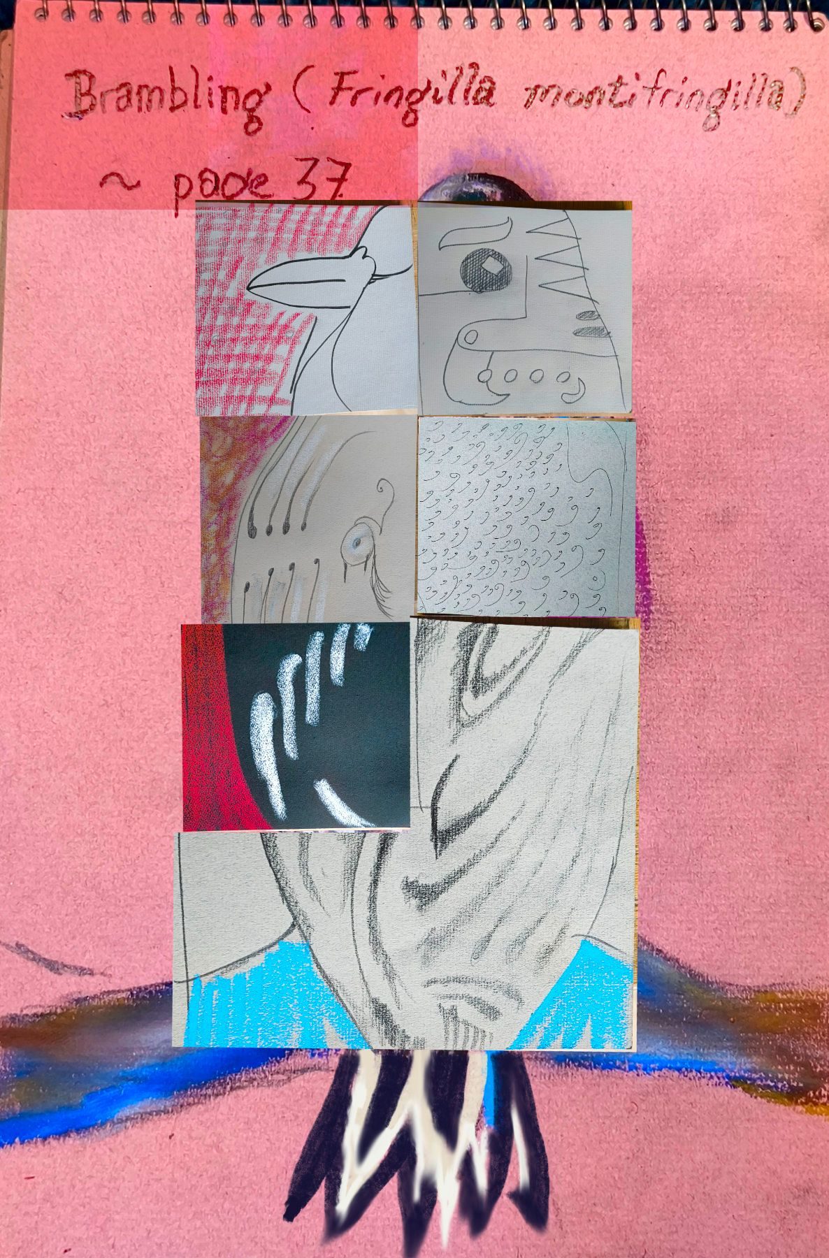 A drawing of a bird, but with square sections redrawn in different styles