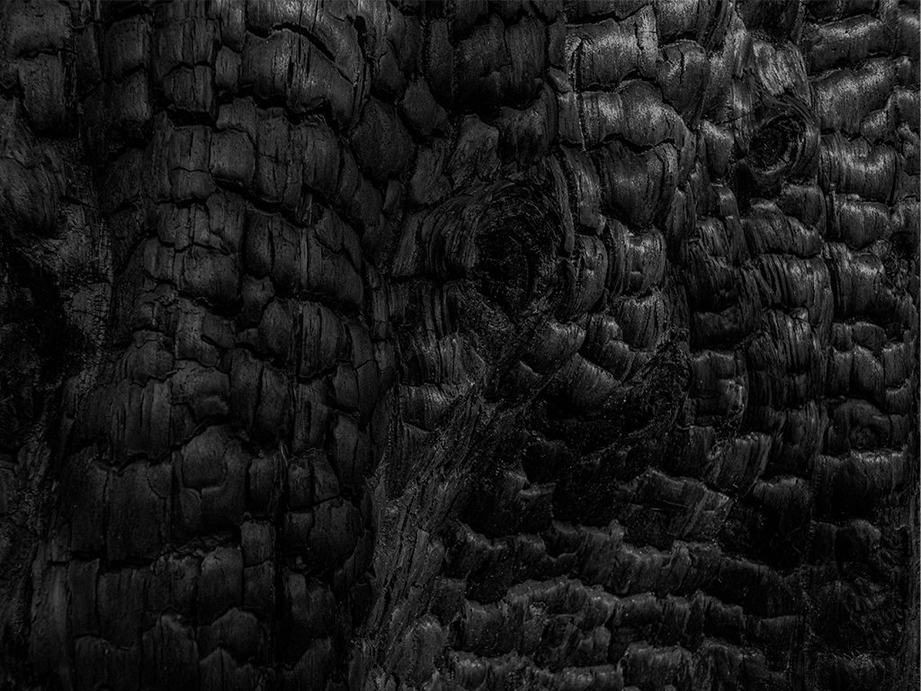 a black and white photograph of burned wood