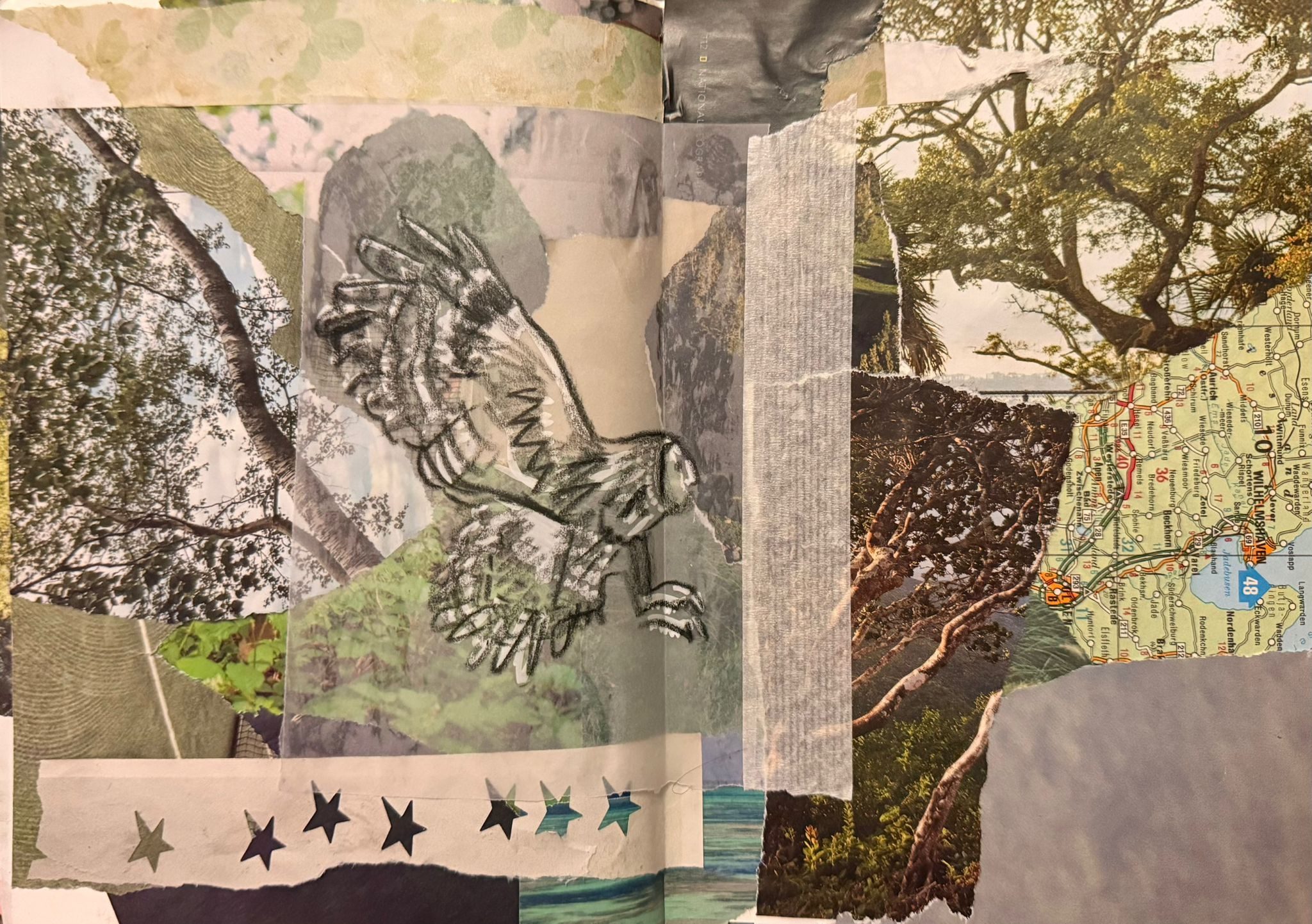 a collage in a sketchbook with various ripped up pieces of greenery like trees and grass all stuck together. on top is a square of tracing paper with a crayon drawing of a tawny owl in flight. the face is side on, so it looks like it has a human face!