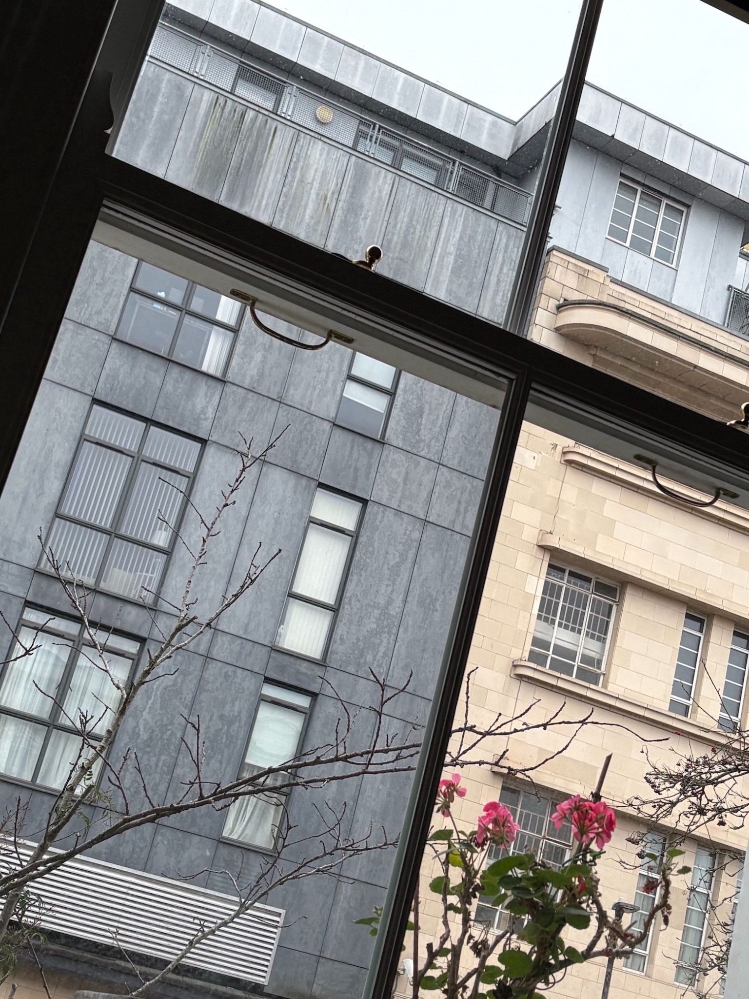 My first perspective each morning. A quick snapshot from my interior to my exterior of my current home.