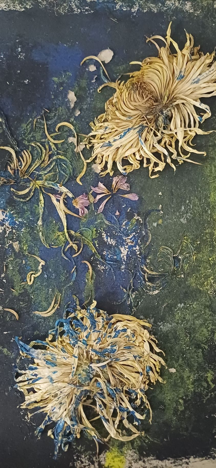 two dried flower heads encased in paint attached to a cardboard covered in black, green and blue paint, loose petals attached inbetween