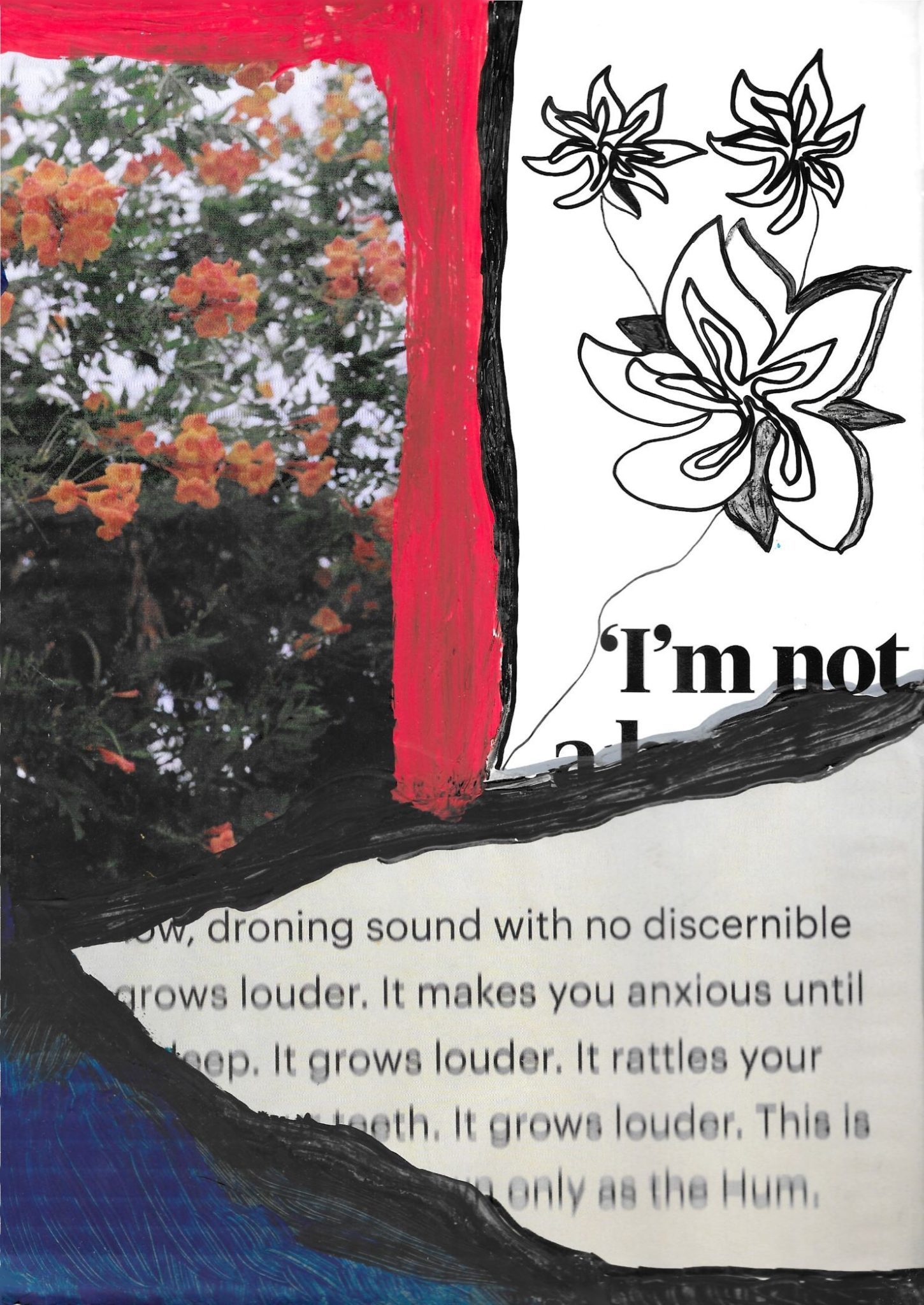 a photo collage work of text and photo with flowers on a bush and a drawing of a flower next to it, the text below reads 