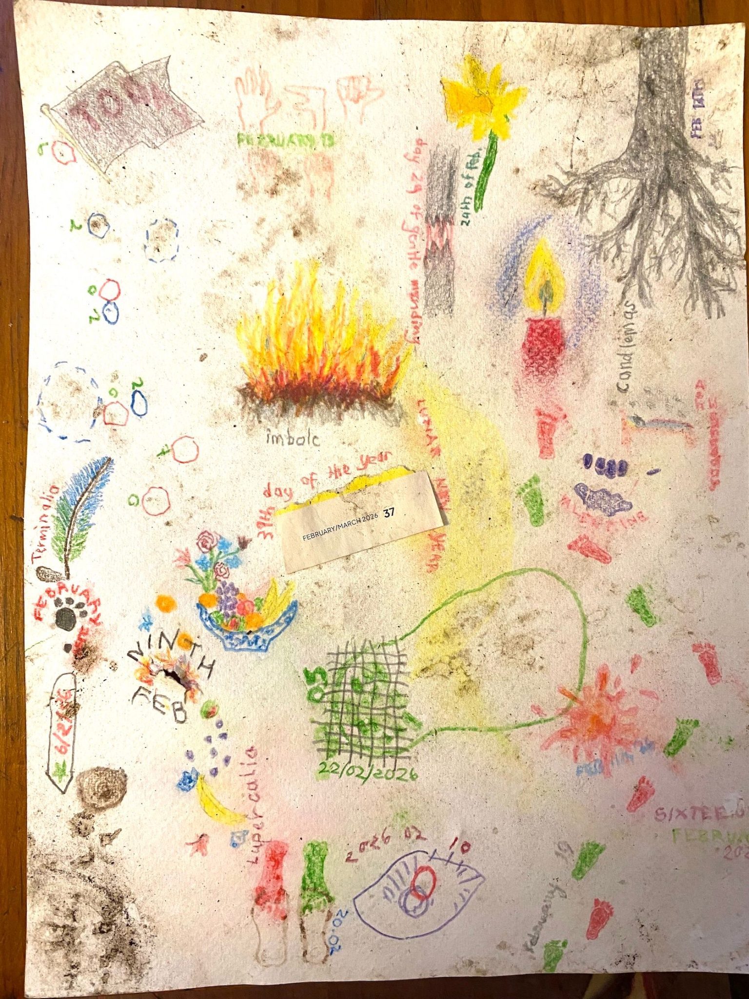 The same drawing as yesterday. To the left of the tree and just above the dark grey broken strip, a daffodil appears, with yellow-orange trumpet pointing to the left, bright yellow petals, and bright green stem. Along the stem the words 