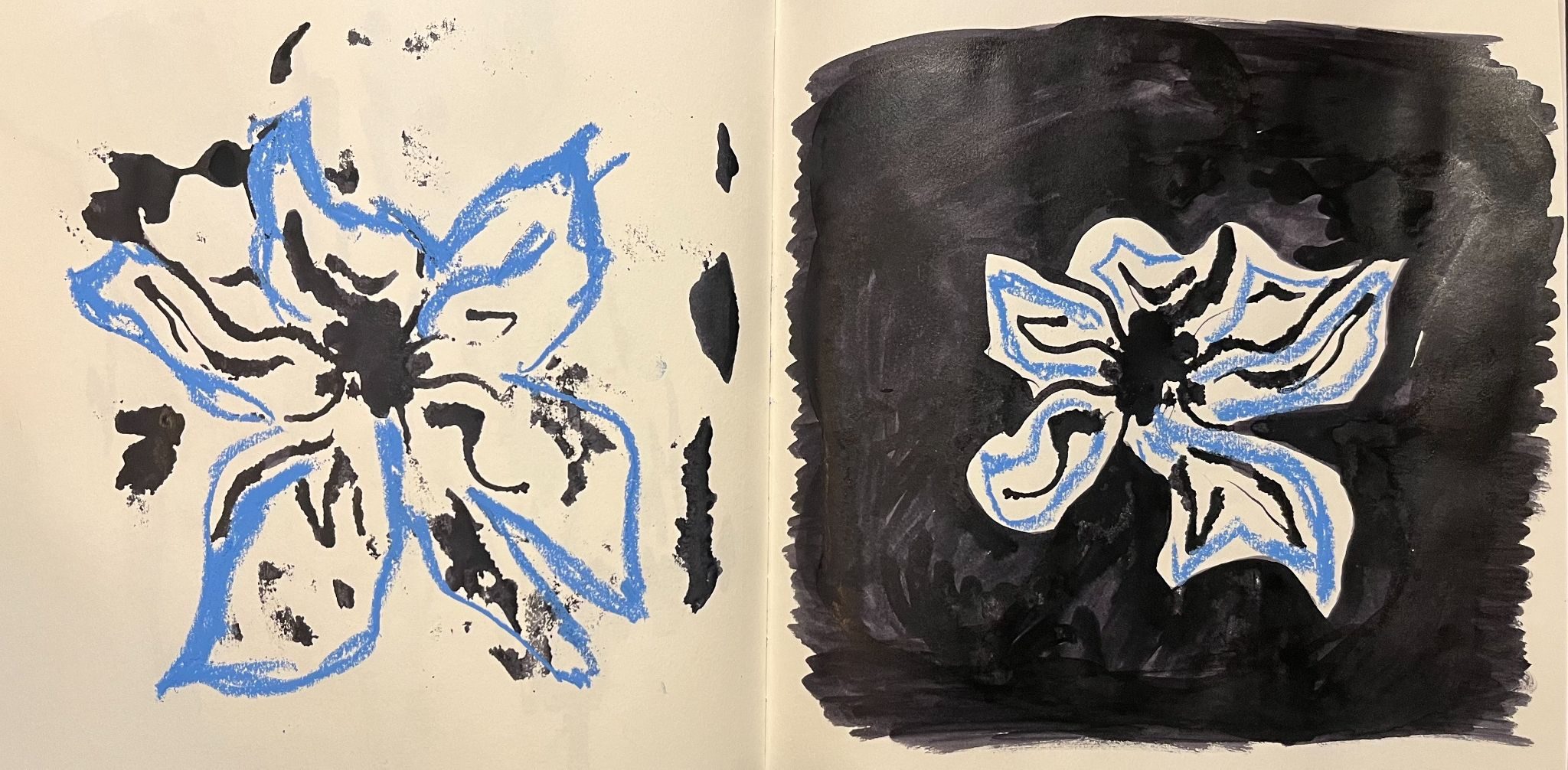 two pages of single flowers, black ink and blue pastel - one is a reverse print of the other