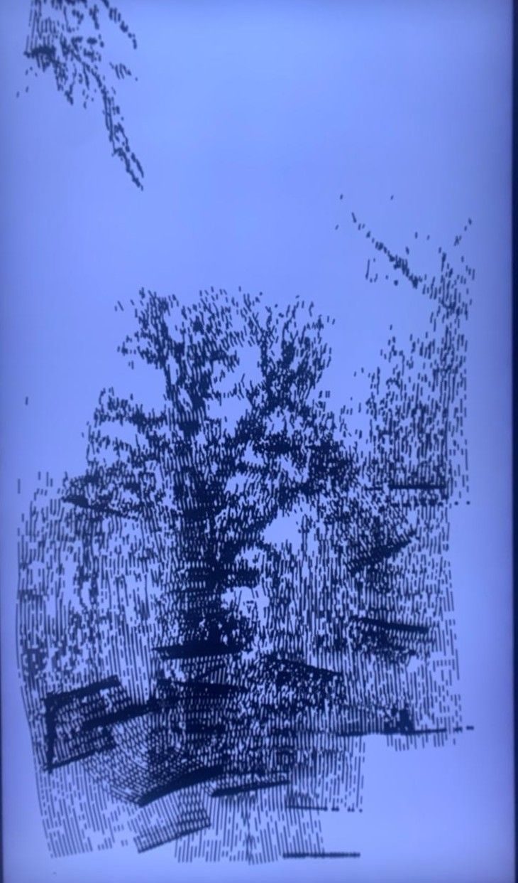 A digital image of a tree