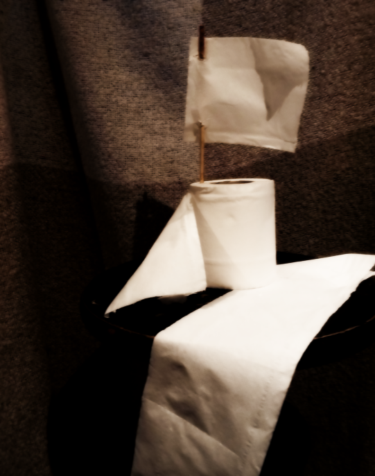 white flag made from toilet roll