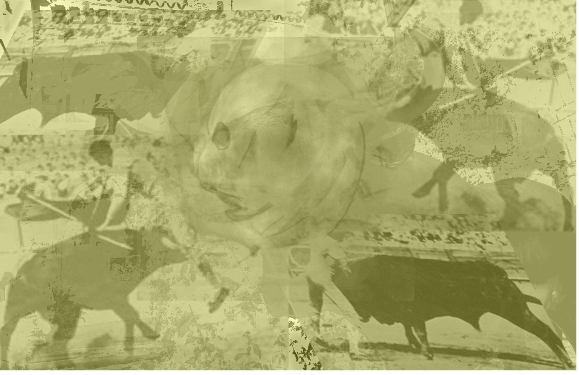 collage  man and bull combine