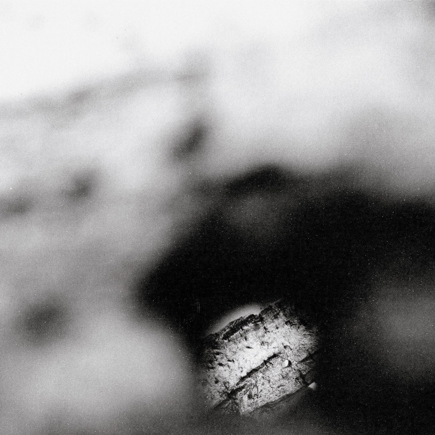 A grainy b&w print of driftwood seen through a small hole in a bigger piece of wood.