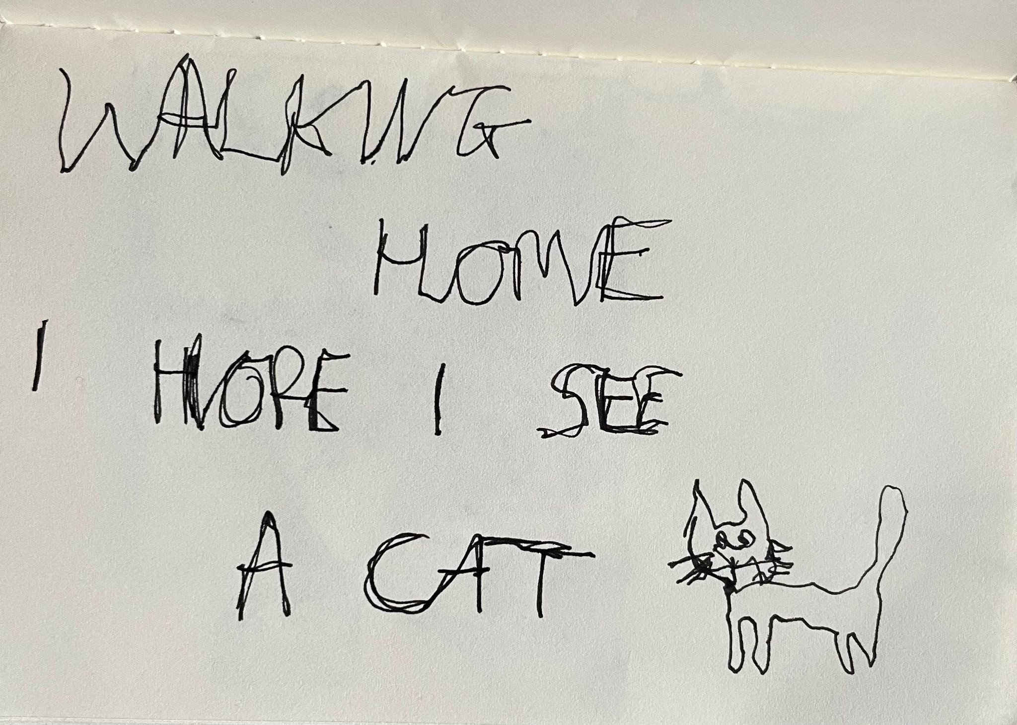 Landscape, scrawled writing in black pen “walking home I hope I see a cat” with a bad doodle of one next to it, facing towards the left