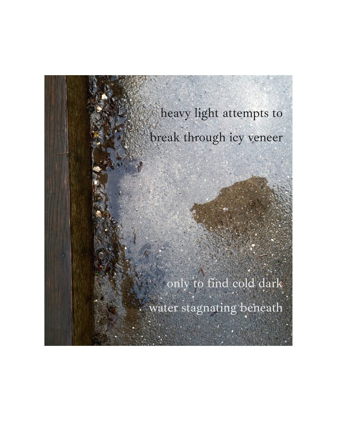 a photo of some ice in a trough