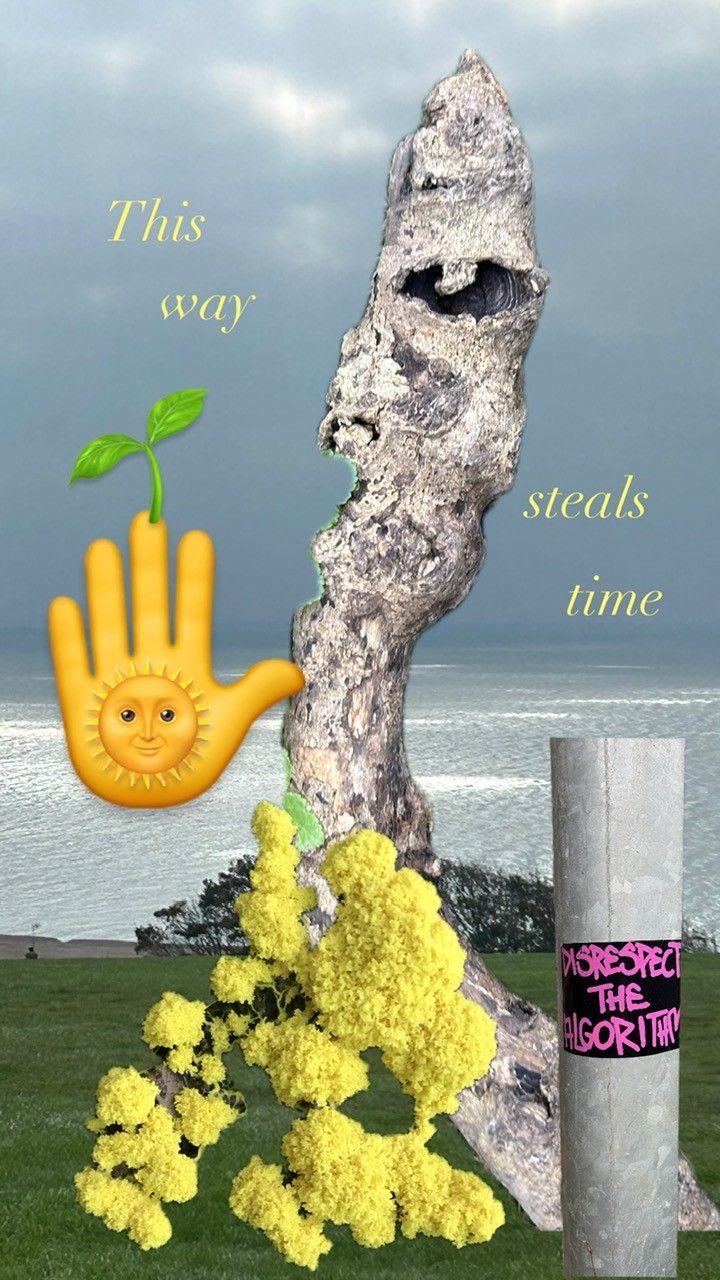 This is a mash up of photos with emojis. In the foreground is some slimemould with a stick coming out of it, the top of the stick has the shape of an eye to one side of the stick there is a hand emoji with a sun and a green shoot emoji.