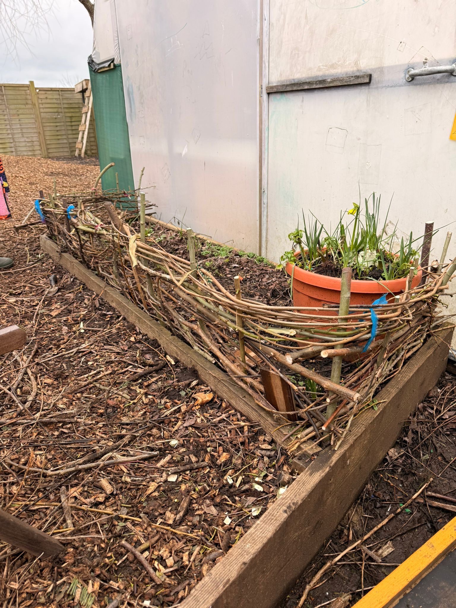 a photo of a fence with woven twigs around the border of a plant bed