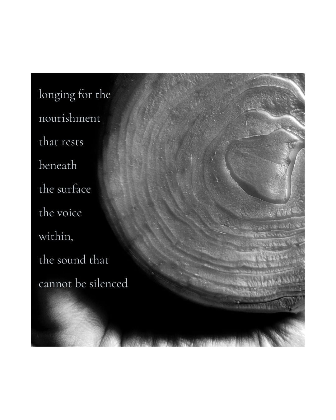 a black and white close up of a vegetable, so close you cannot know what it is.