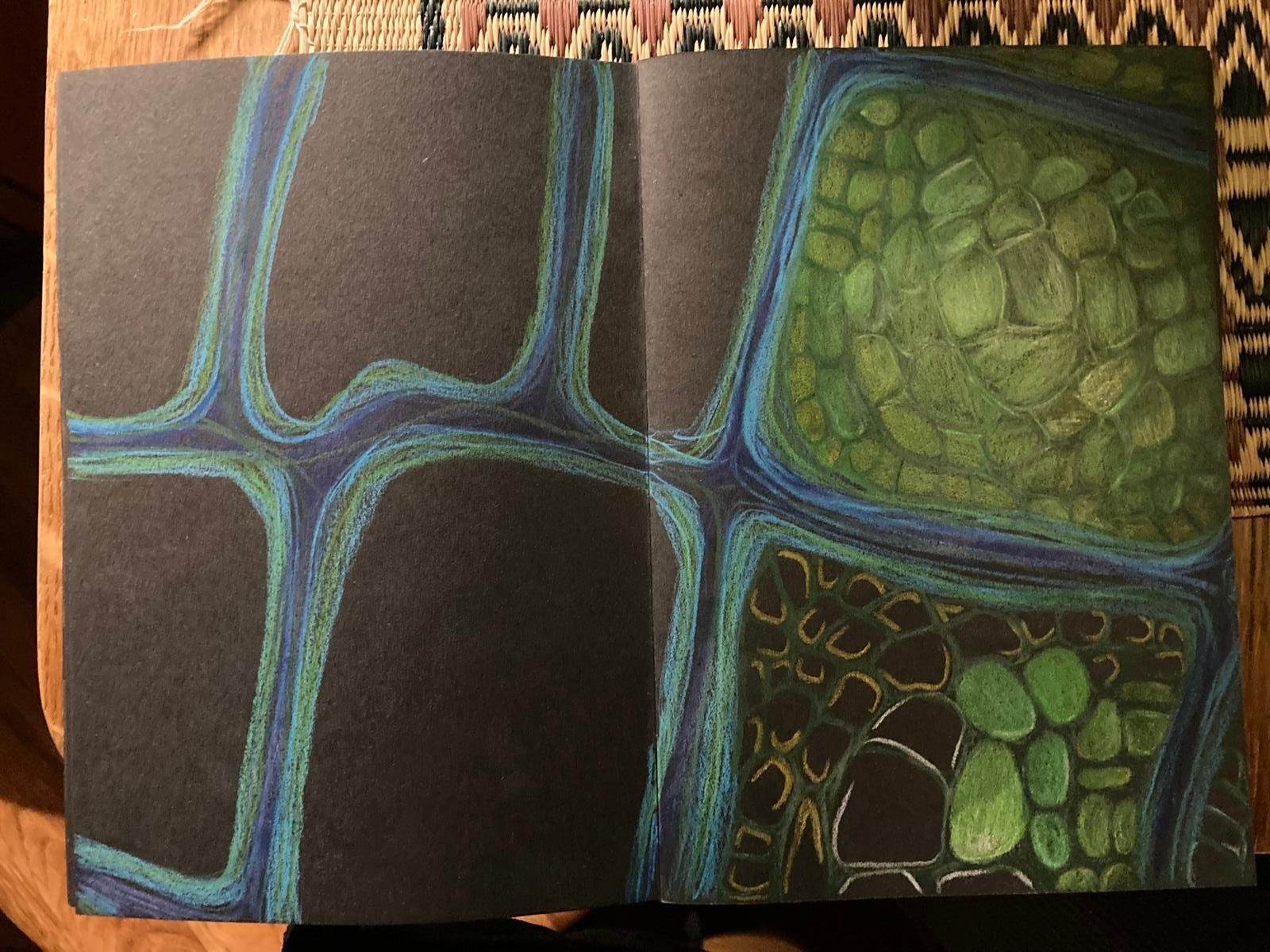 Pencil drawing of plant cells
