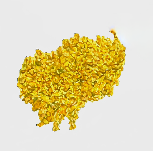 Aqueous Dispersion on Canvas, 18 x12.5cm