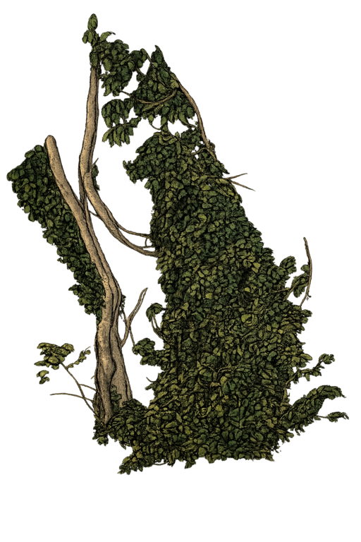 Aqueous Dispersion on Canvas, 15 x 20 cm variable