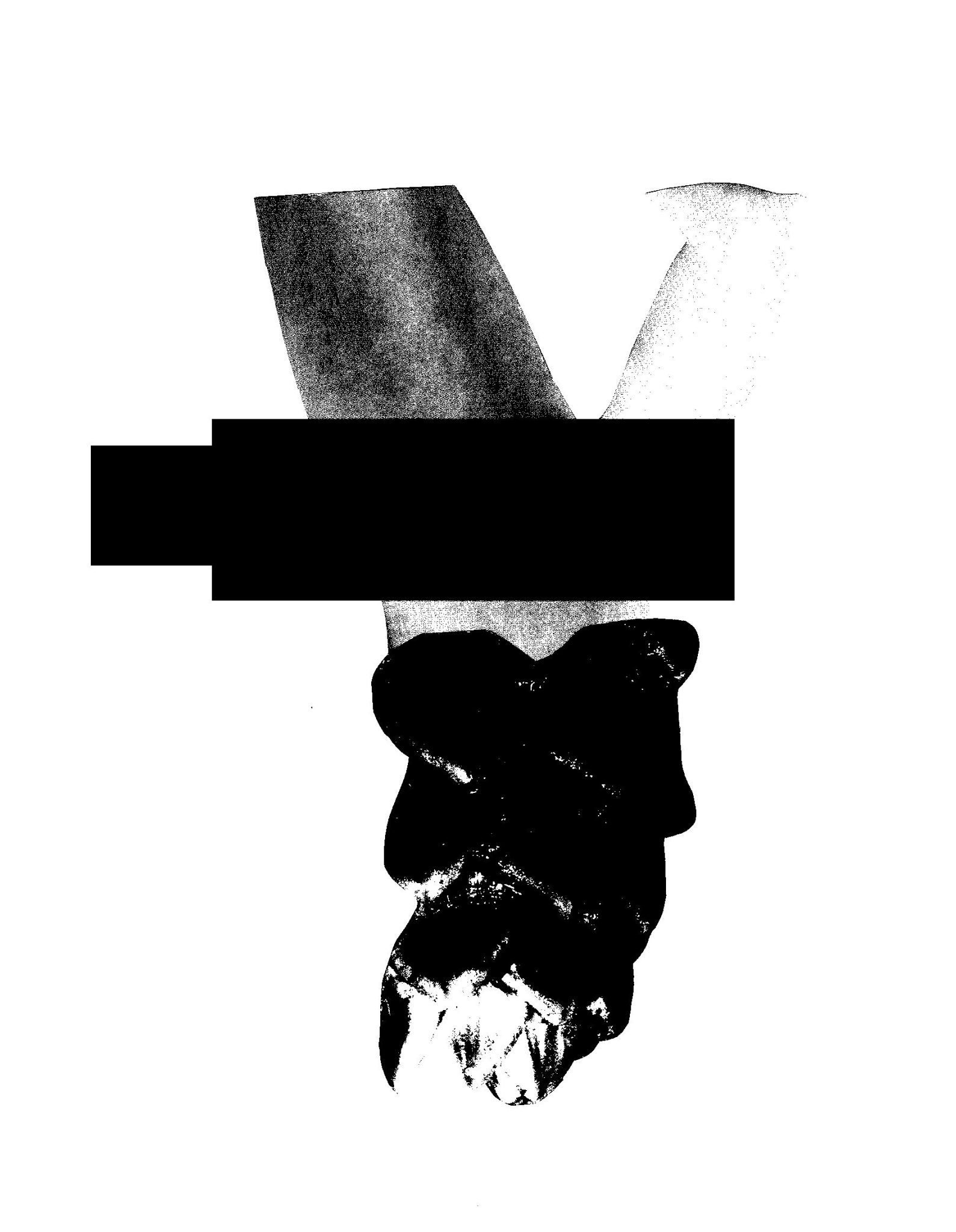 A digital image depciting a black and white abstract form of flower buds, body parts and a black irregular geometric shape designed to look like a photocopy