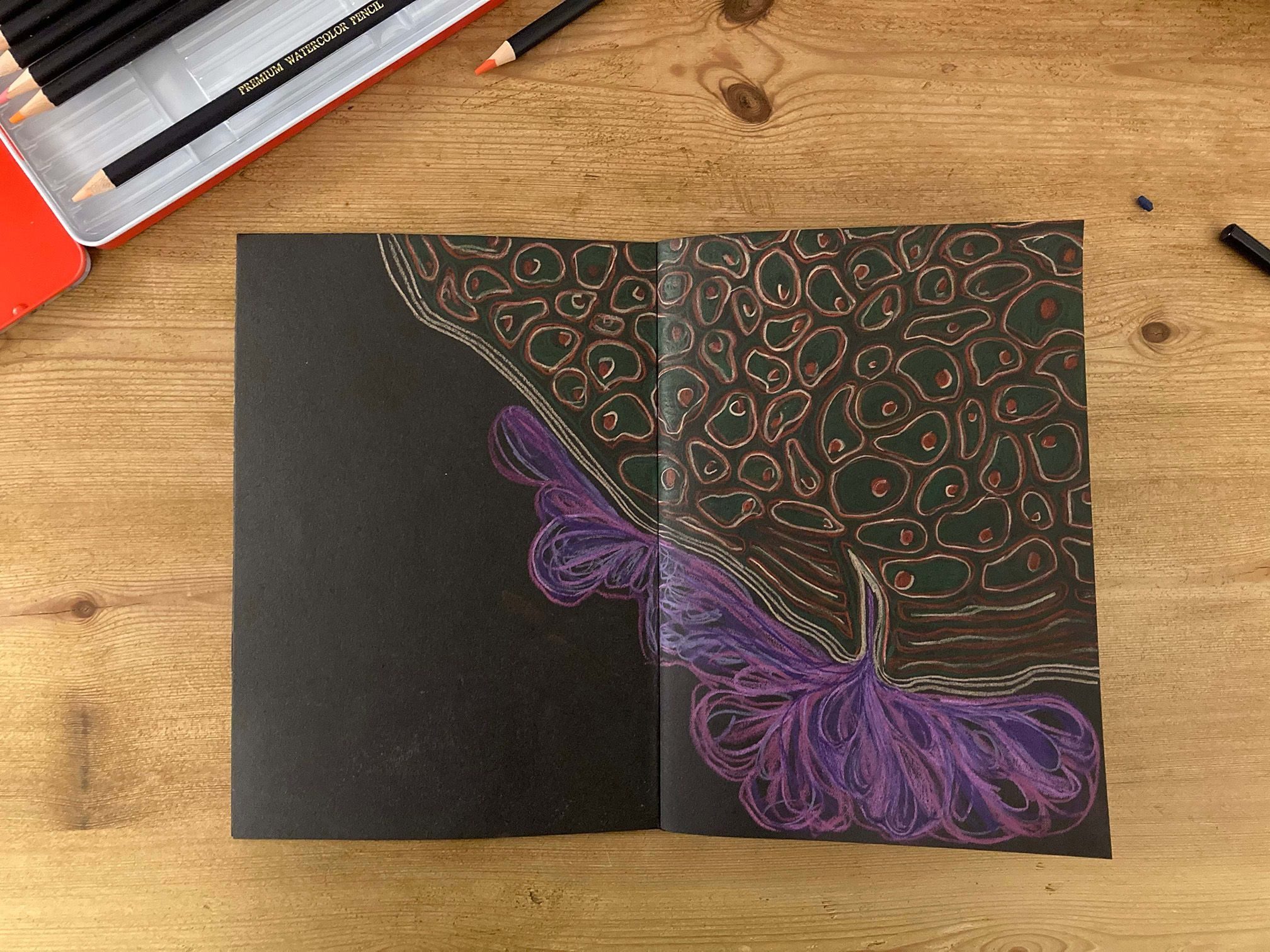 Pencils drawing in a biological pattern