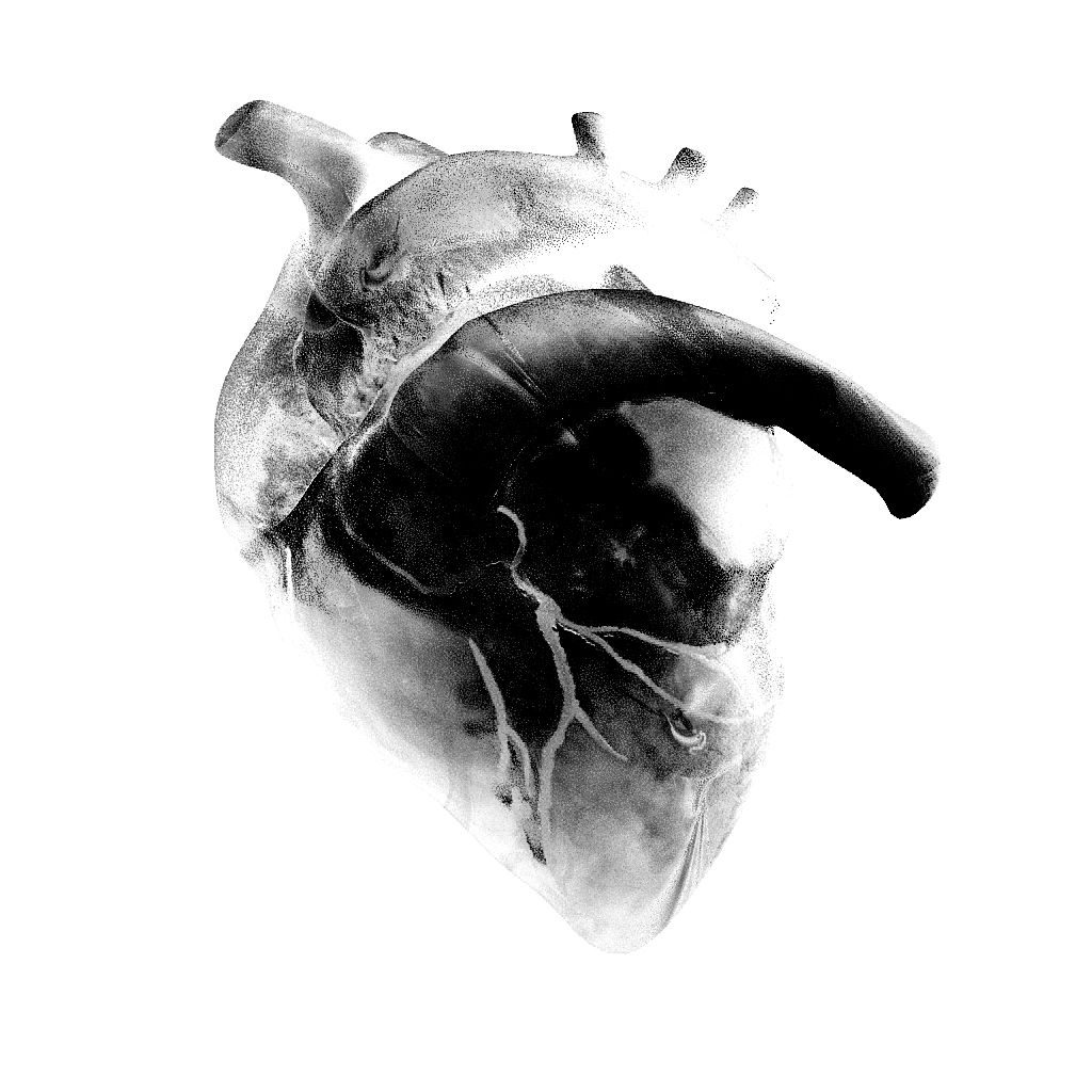 a stylised black and white image of a heart