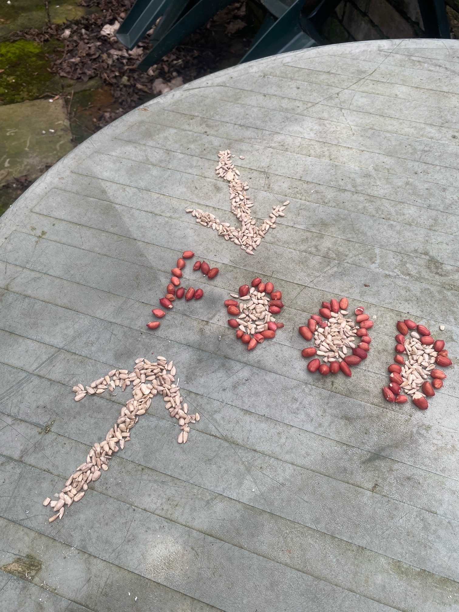 Peanuts and sunflower seeds laid out on a garden table to spell the word “food”