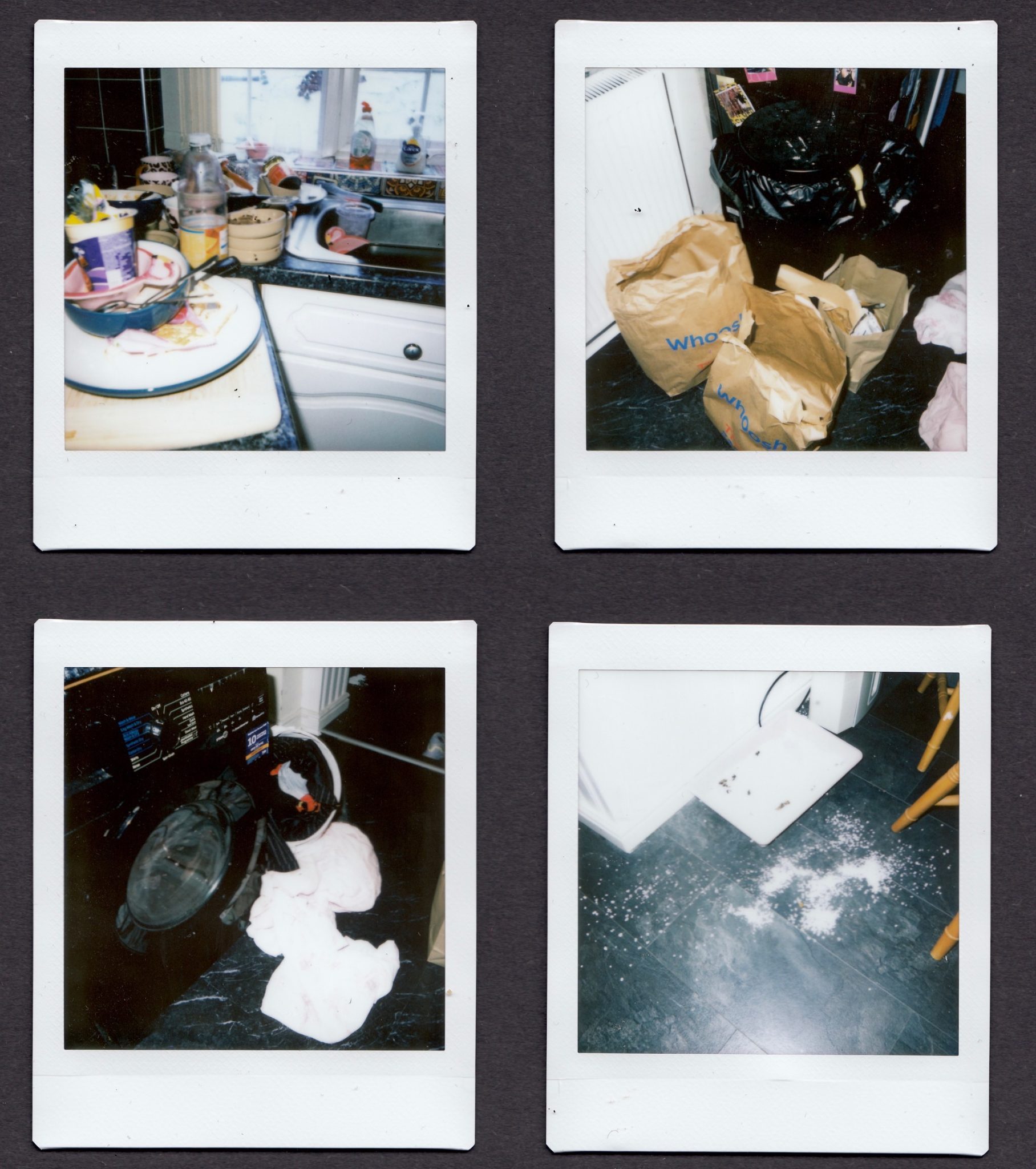 Four instant photos with white frames on a black background. Clockwise they show a pile of dirty washing up, an overflowing bin, a pile of dirty laundry, and a tray of cat litter which has been kicked over
