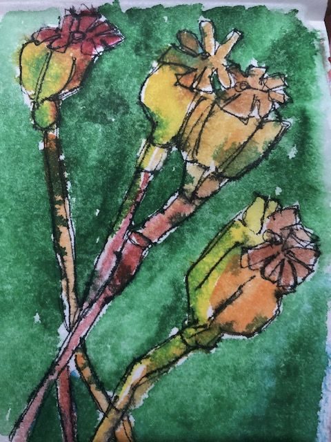 Poppy heads in bright watercolour on tissue paper
