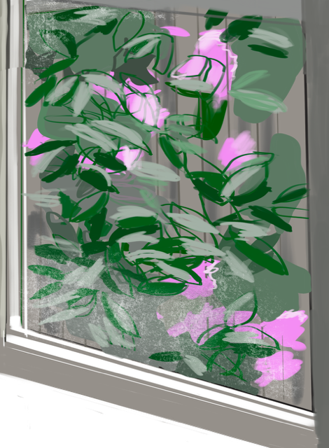 View through one window pane