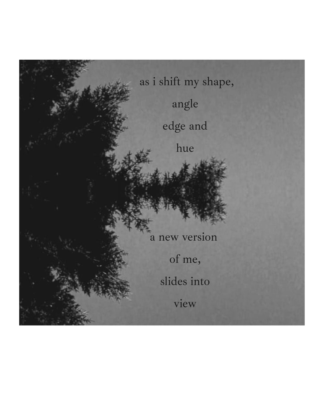 an old photo of a tree turned on its side.