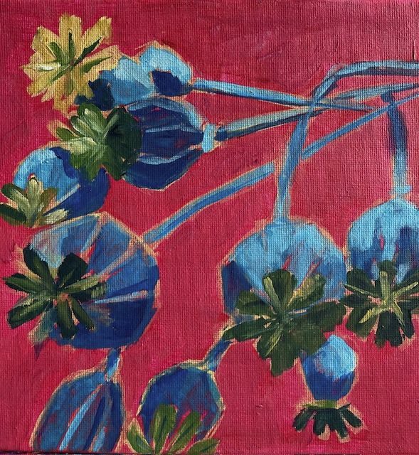 Poppy seedheads in acrylic on pink background