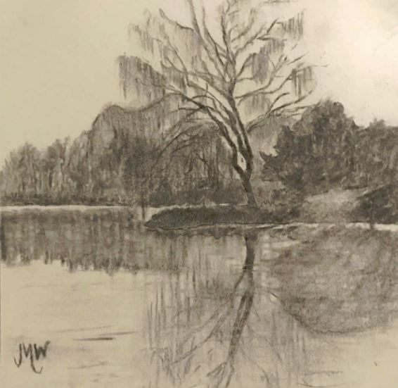 Pencil sketch of Lakeside trees