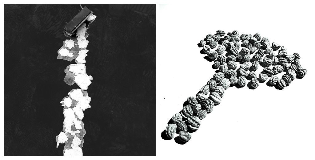 A diptych in b&w. The left image are of paint splatter on a wall and a broken light. The right image are of nasturtium flower seeds laid out in the shape of a tree.