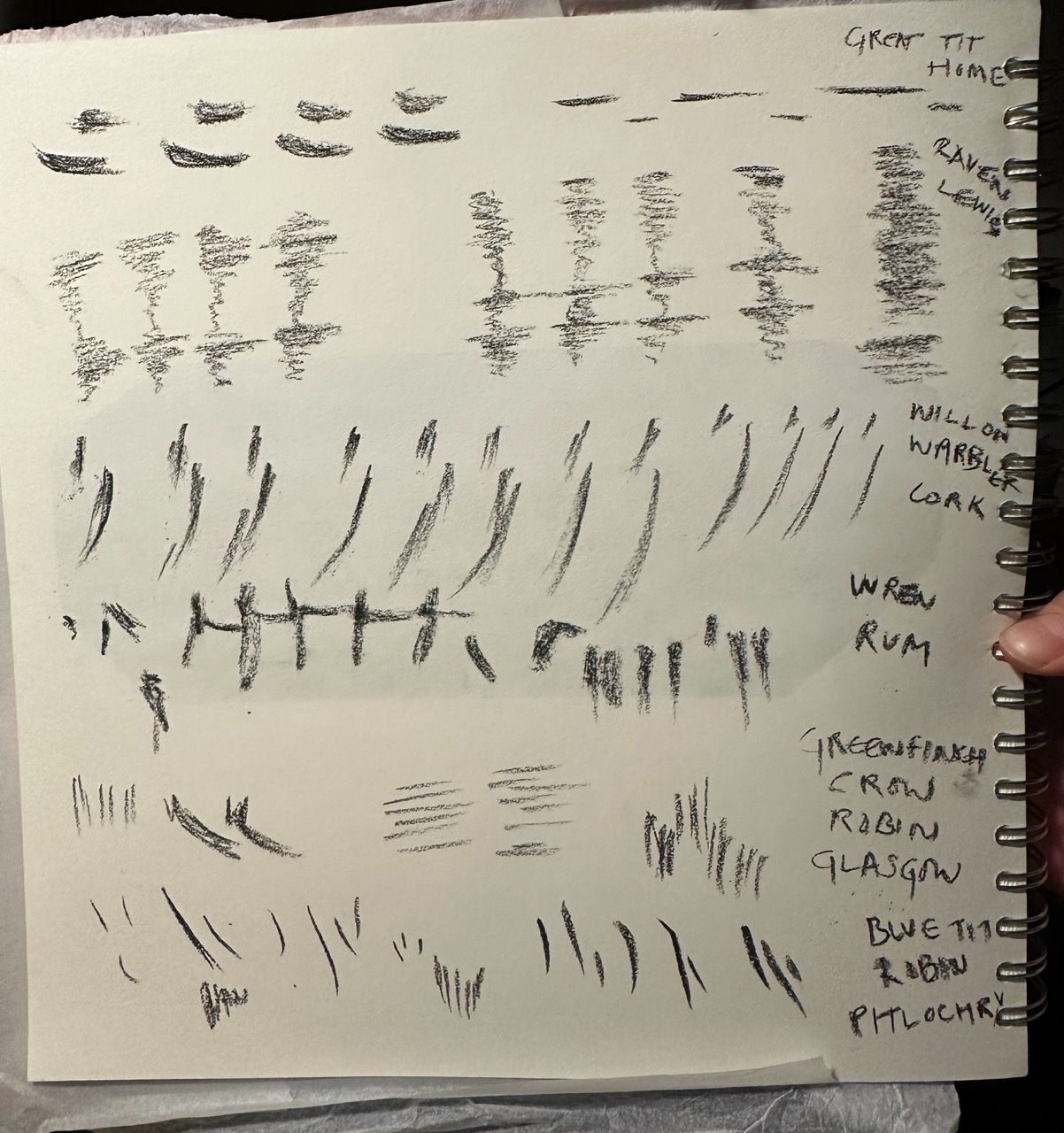 conte crayon on paper