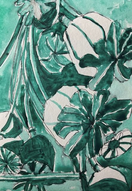 Sketch of dried poppyheads painted in monochrome watercolour