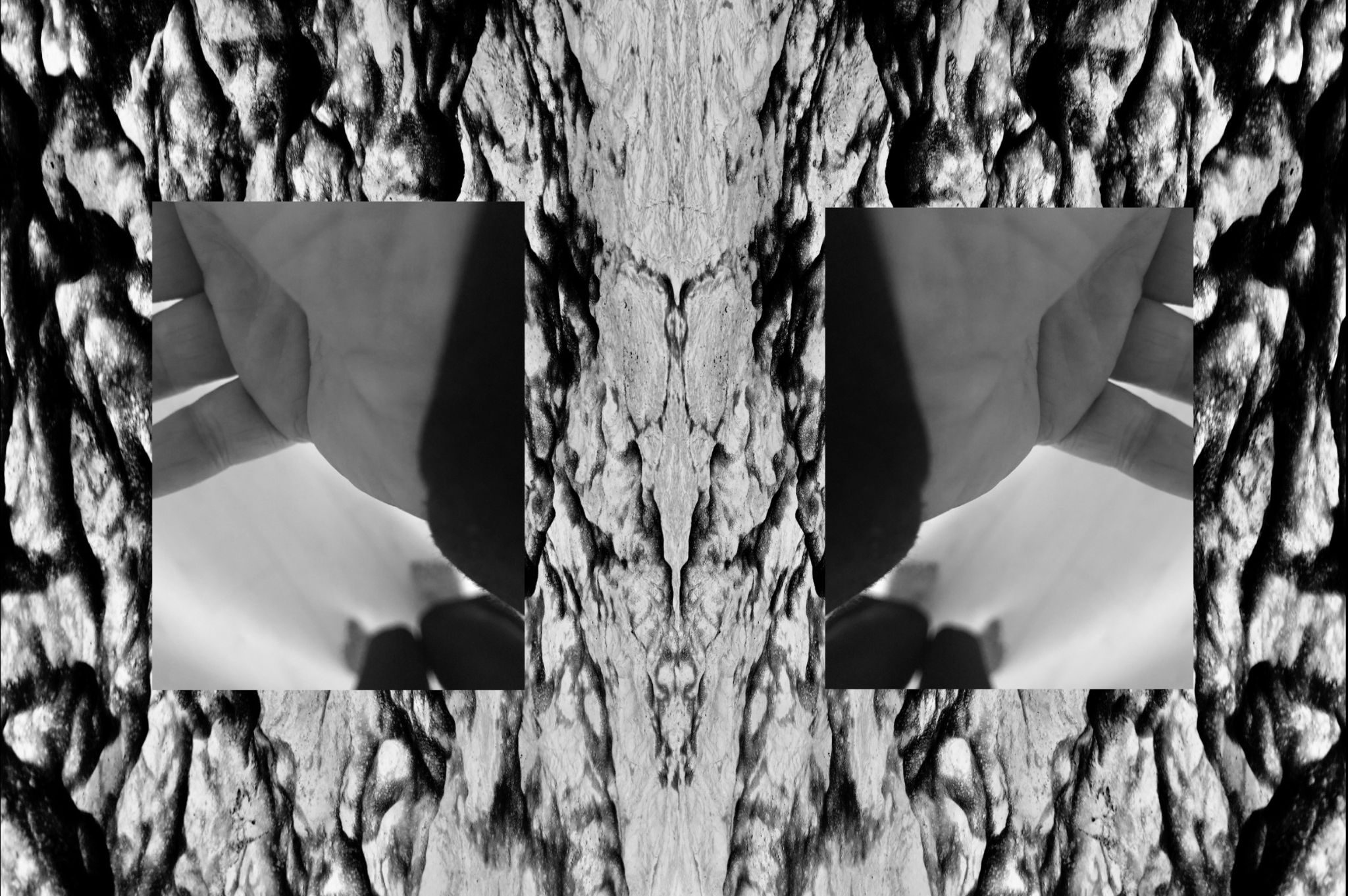 Returning to the film I created on day 1 of Artquest “rain, 01.02.2026”, I took one bodily image within and centred it on a negative sea image from my work “See, Sea” 2013. I then horizontally flipped this combined image, placing each side by side, creating somewhat of a Rorschach Inkblot. Morphing water and body as one.