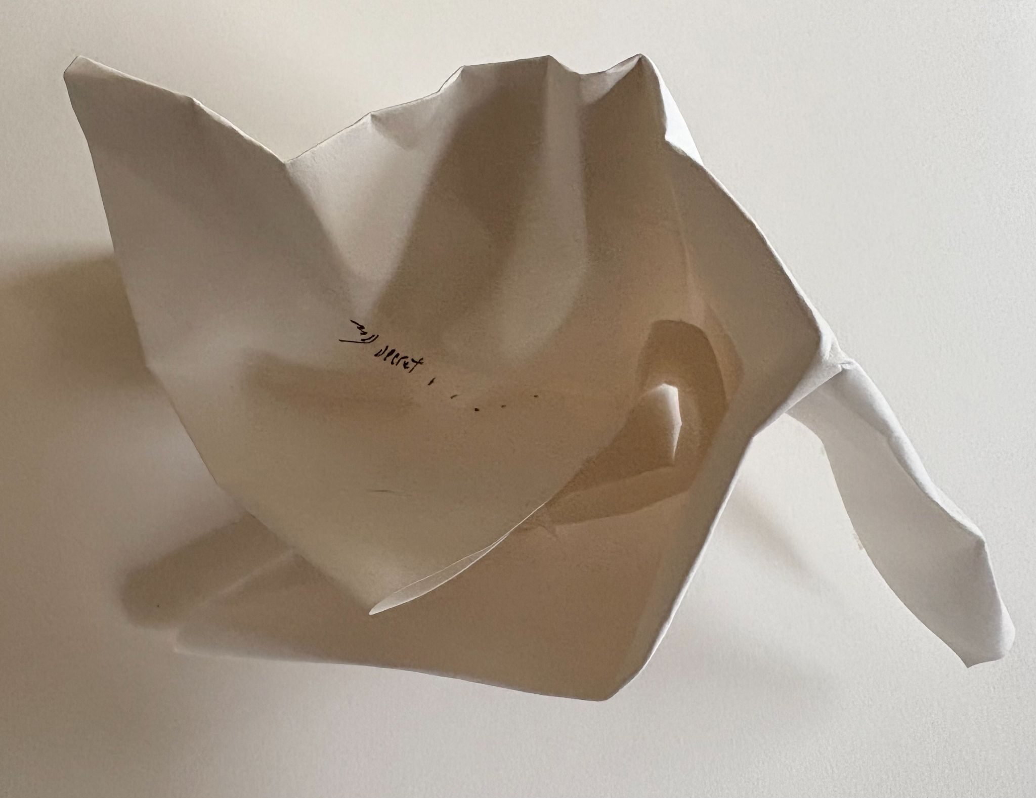 A improvised folding of paper with 'my secret....' written inside a f/old.